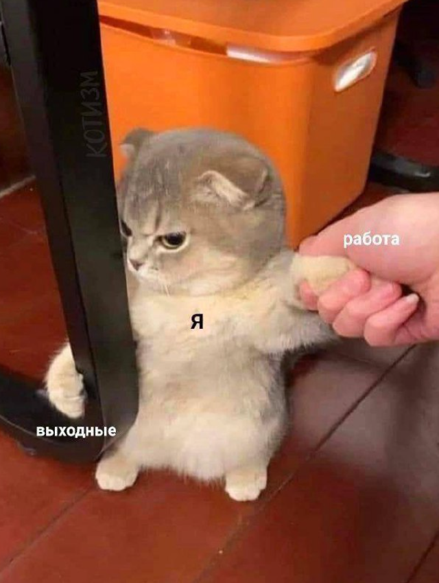 Подборка новогодних мемов