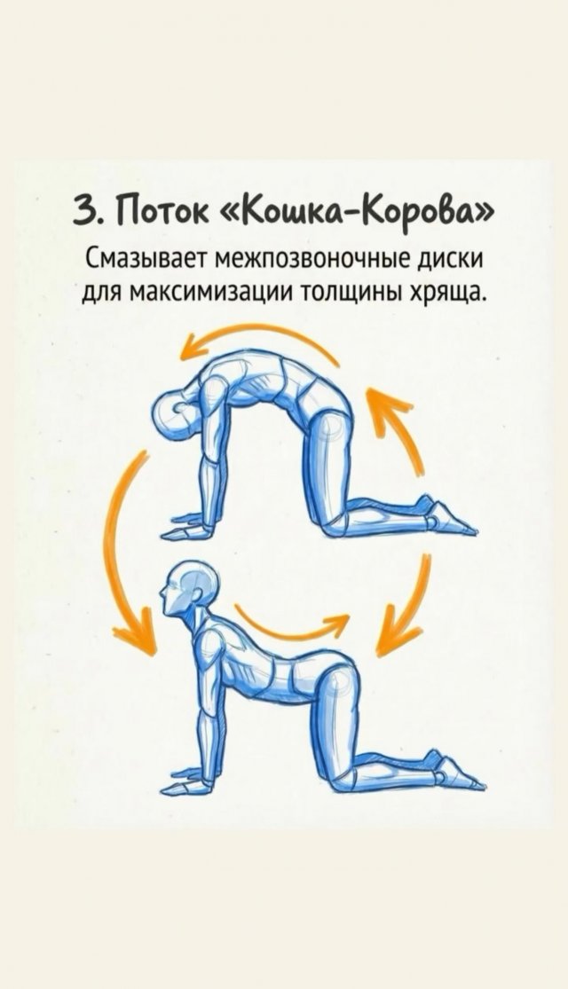 Подборка упражнений, которые помогут увеличить рост, исправить осанку и укрепить мышцы спины