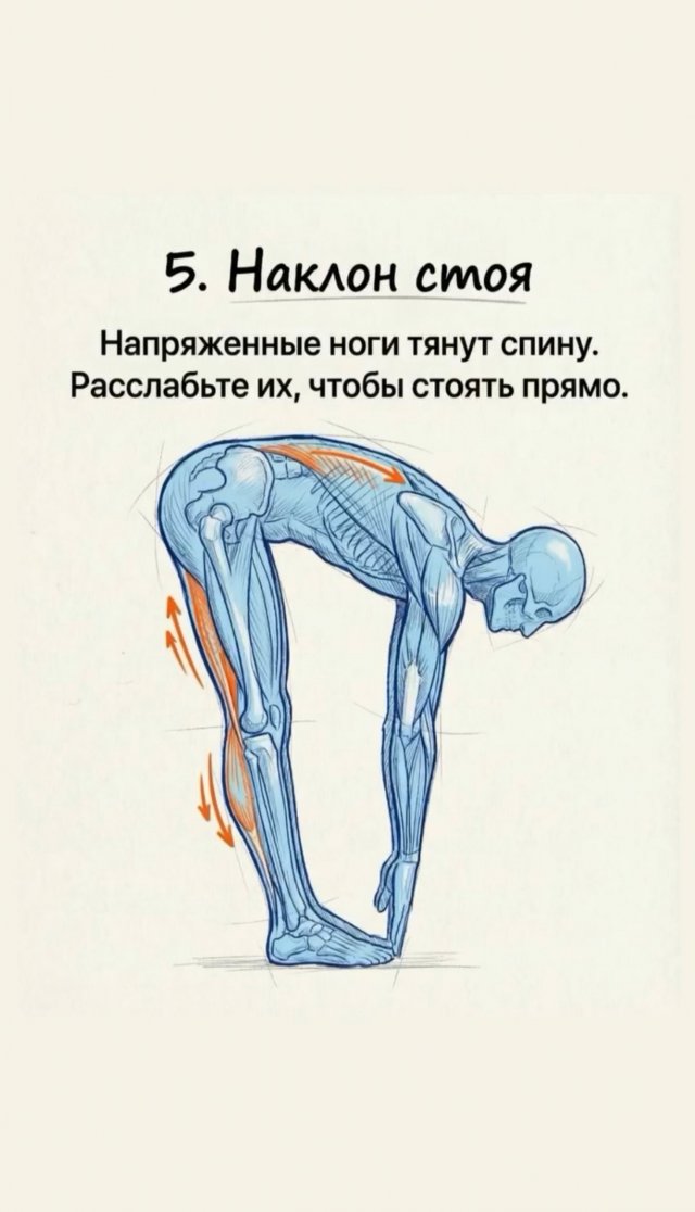 Подборка упражнений, которые помогут увеличить рост, исправить осанку и укрепить мышцы спины