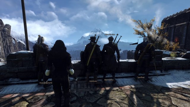 Для третьего «Ведьмака» вышел кооперативный мод Witcher Online