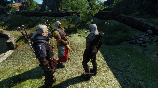 Для третьего «Ведьмака» вышел кооперативный мод Witcher Online