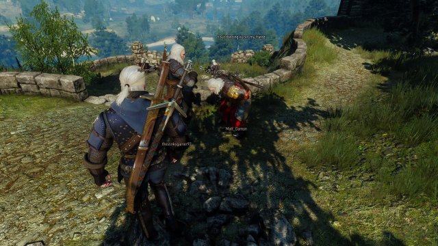 Для третьего «Ведьмака» вышел кооперативный мод Witcher Online