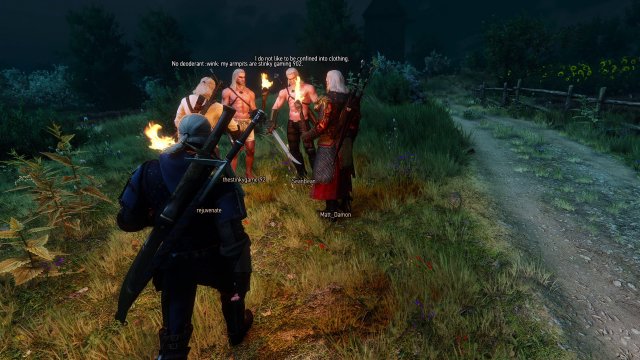 Для третьего «Ведьмака» вышел кооперативный мод Witcher Online
