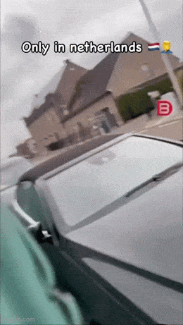 Подборка гифок -  12.01.2026