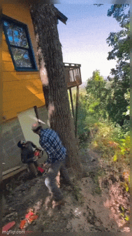 Подборка гифок -  12.01.2026