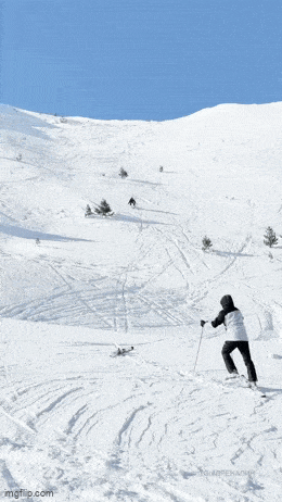 Подборка гифок -  12.01.2026