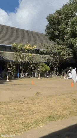 Подборка гифок -  12.01.2026