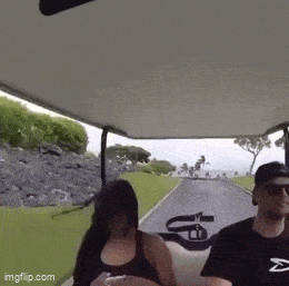 Подборка гифок -  12.01.2026