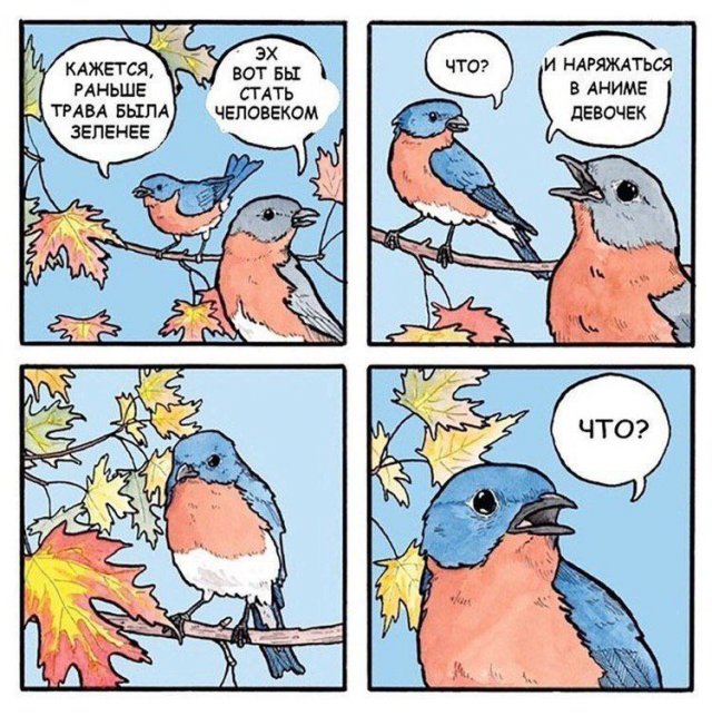 Смешные мемы - 12.01.2025