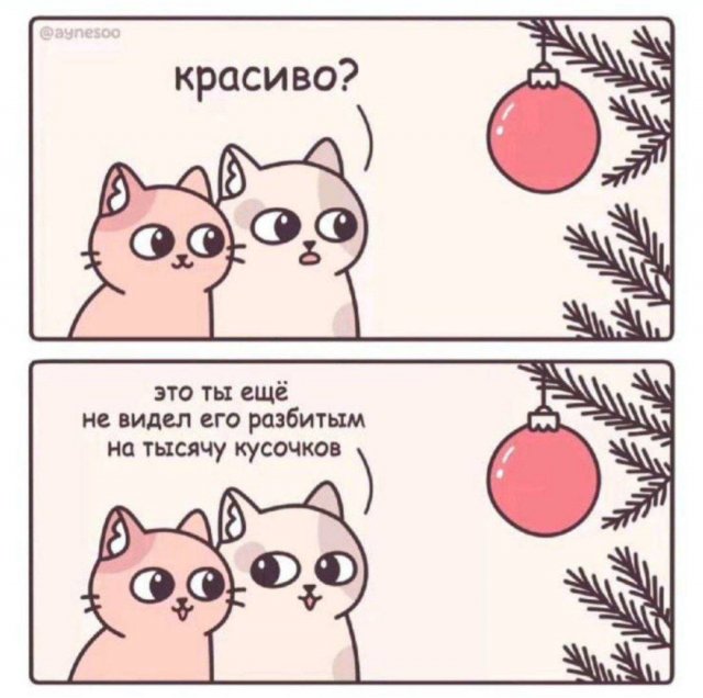 Смешные мемы - 12.01.2025