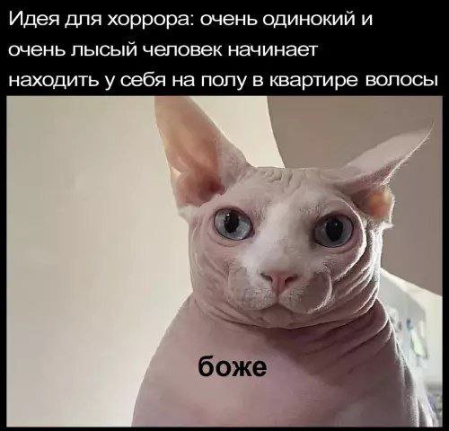 Смешные картинки - 12.01.2026