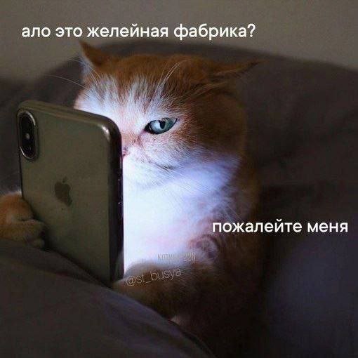 Смешные картинки - 12.01.2026