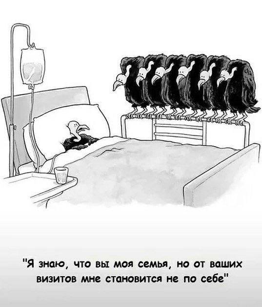 Смешные картинки - 12.01.2026