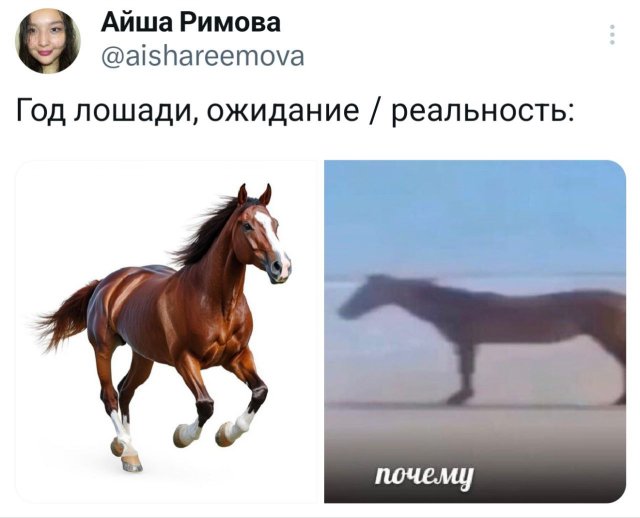 Смешные картинки - 12.01.2026