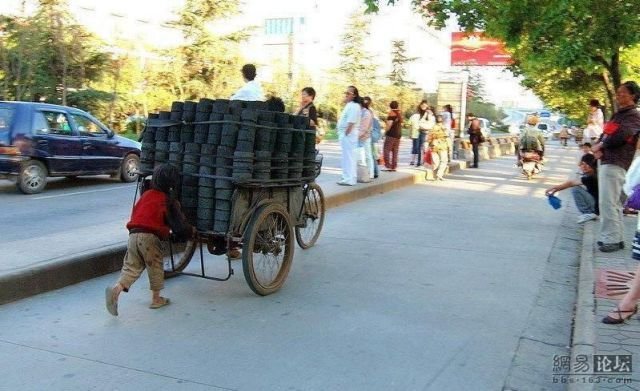 Подборка картинок. Вечерний выпуск - 12.01.2026