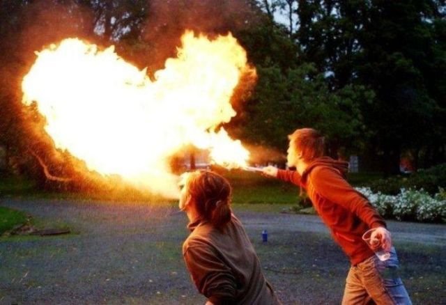 Подборка картинок. Вечерний выпуск - 12.01.2026