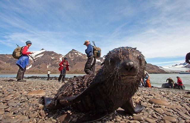 Подборка картинок. Вечерний выпуск - 12.01.2026