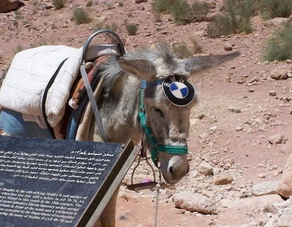 Подборка картинок. Вечерний выпуск - 12.01.2026