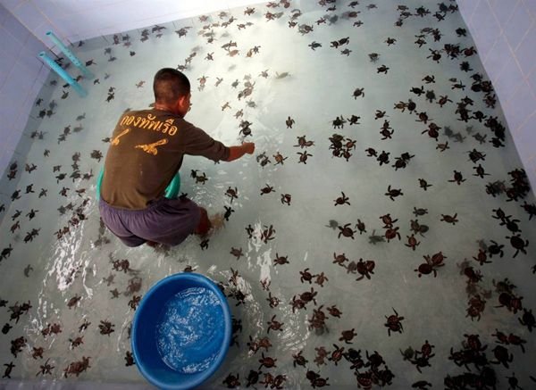 Подборка картинок. Вечерний выпуск - 12.01.2026