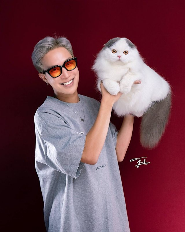 Кот из России признан лучшим в мире — он занял первое место в рейтинге лучших котов 2025 года