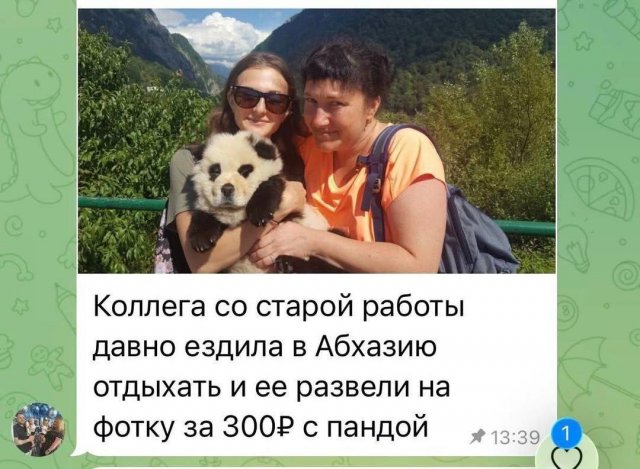Россиянка нашла в Абхазии редкую «панду» и заплатила за это 300 рублей