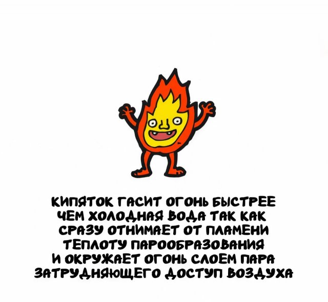 Интересные факты на все случаи жизни