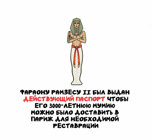 Интересные факты на все случаи жизни