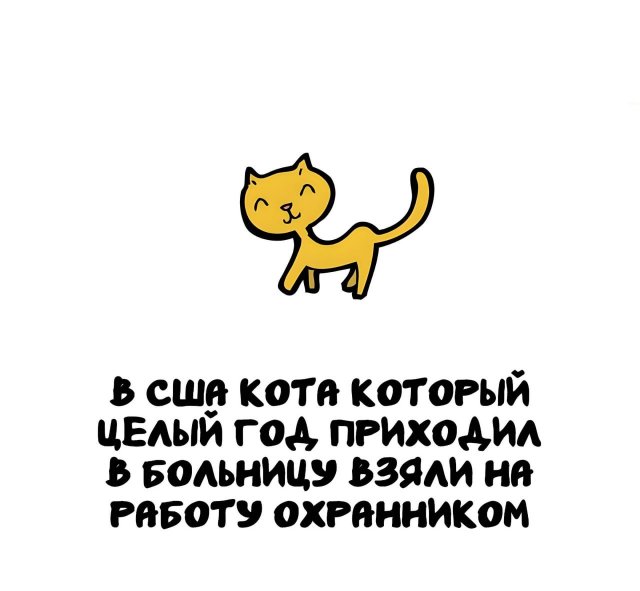 Интересные факты на все случаи жизни