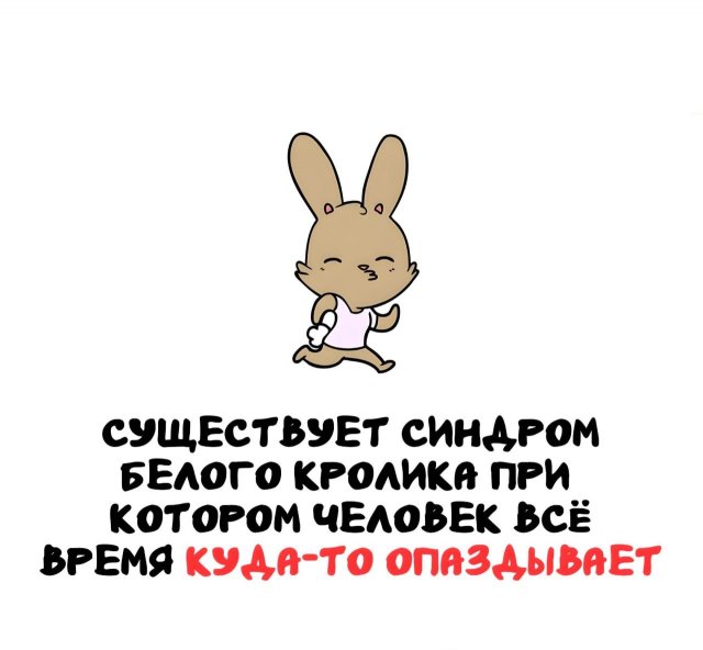 Интересные факты на все случаи жизни