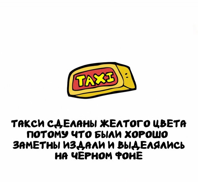 Интересные факты на все случаи жизни