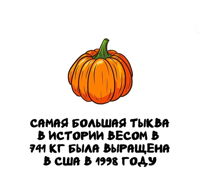 Интересные факты на все случаи жизни