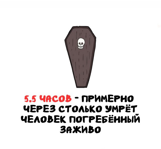 Интересные факты на все случаи жизни