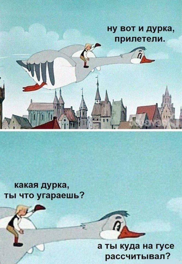 Лучшие шутки и мемы из Сети - 12.01.2026