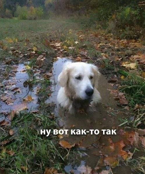 Лучшие шутки и мемы из Сети - 12.01.2026