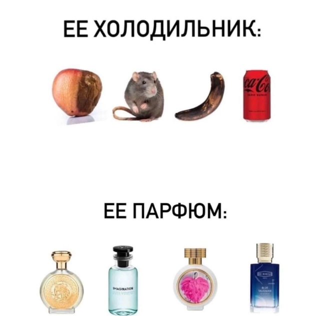 Лучшие шутки и мемы из Сети - 12.01.2026