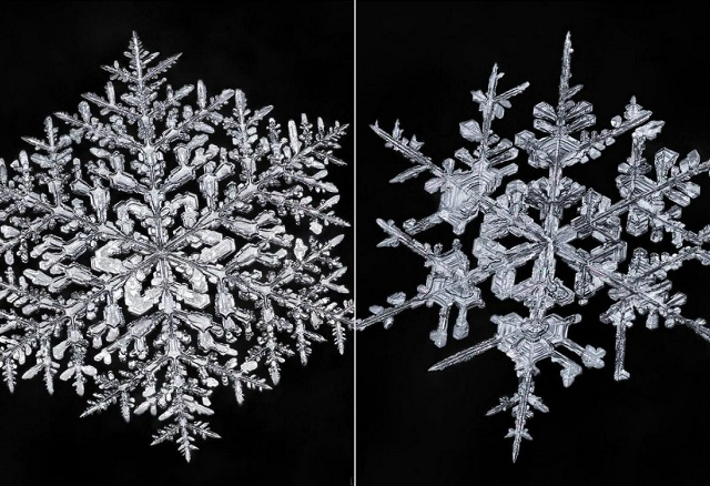 Снежинки под микроскопом