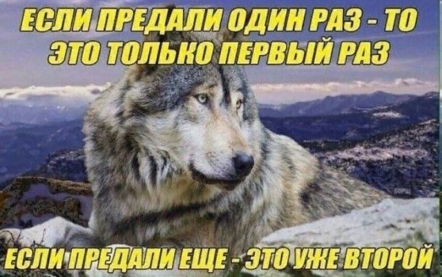 Смешные мемы - 13.01.2025