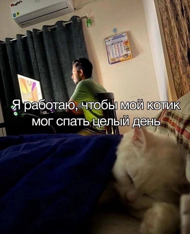 Лучшие шутки и мемы из Сети - 13.01.2025