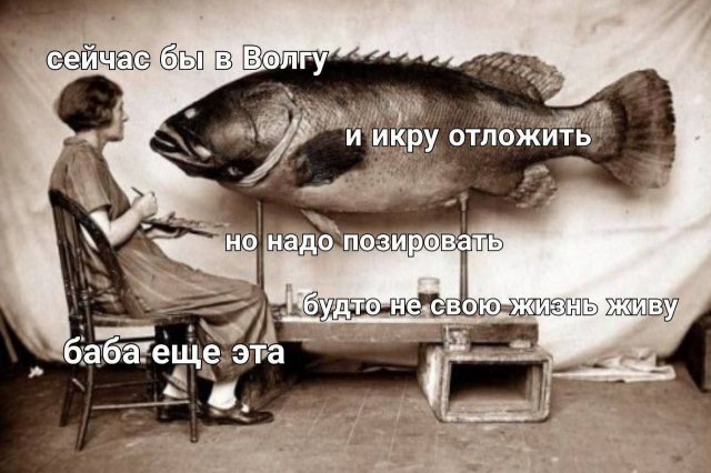 Лучшие шутки и мемы из Сети - 13.01.2025