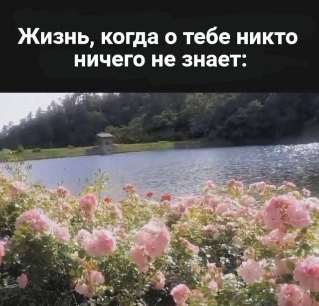 Смешные картинки - 13.01.2025