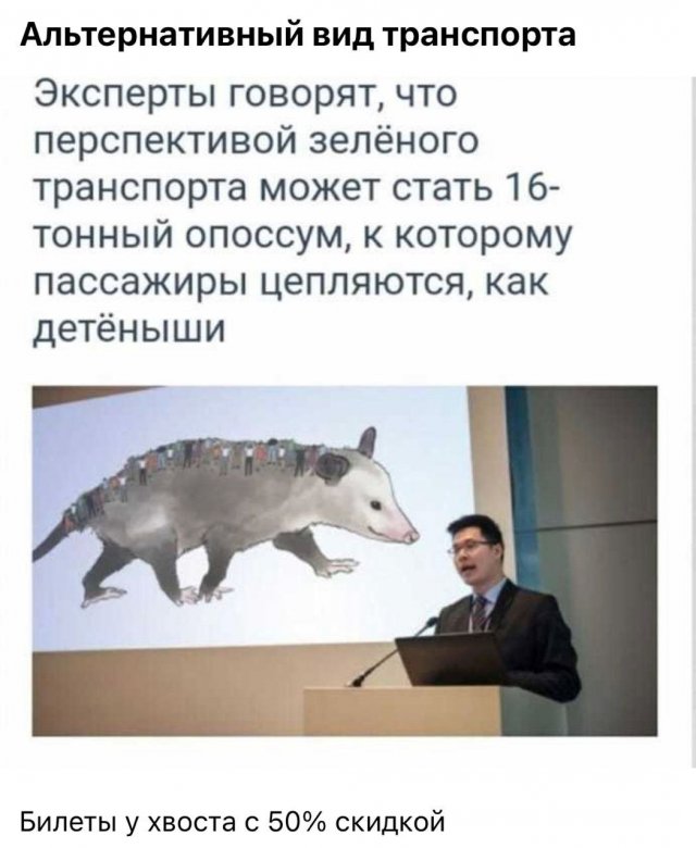 Смешные картинки - 13.01.2025