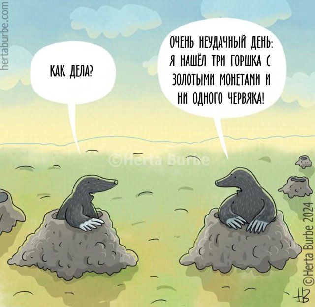 Смешные картинки - 13.01.2025