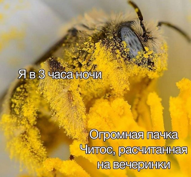 Смешные картинки - 13.01.2025