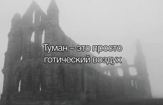 Смешные картинки - 13.01.2025