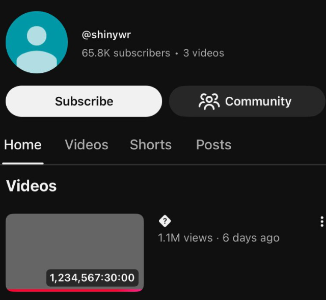 Самое длинное видео в мире