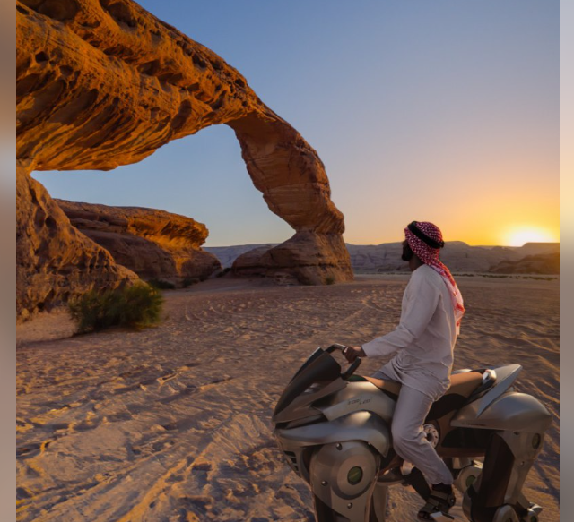 Кибер лошадь