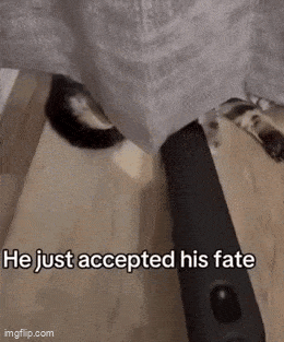 Гифки без повода