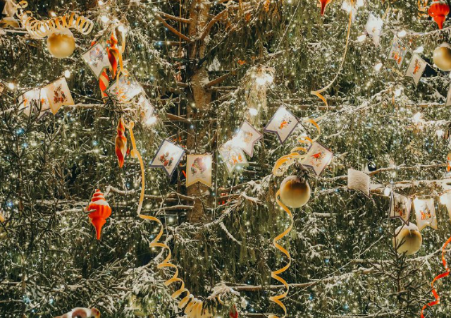 Лучшая елка России