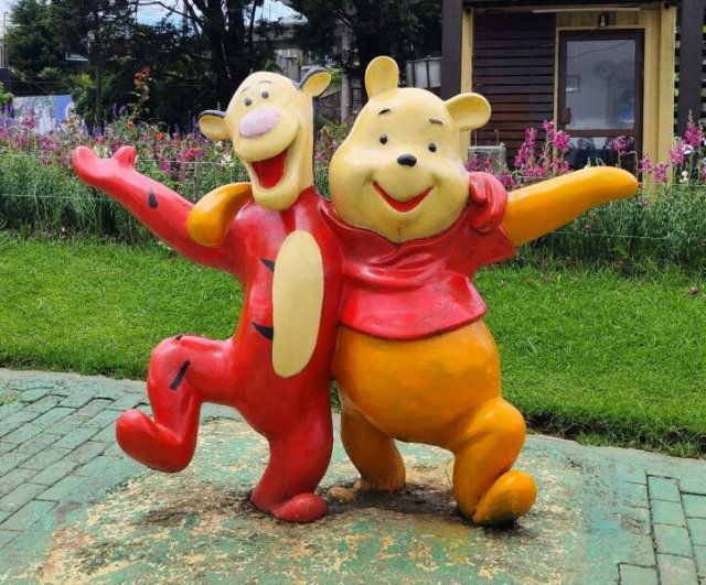 Подборка картинок. Вечерний выпуск - 15.01.2026