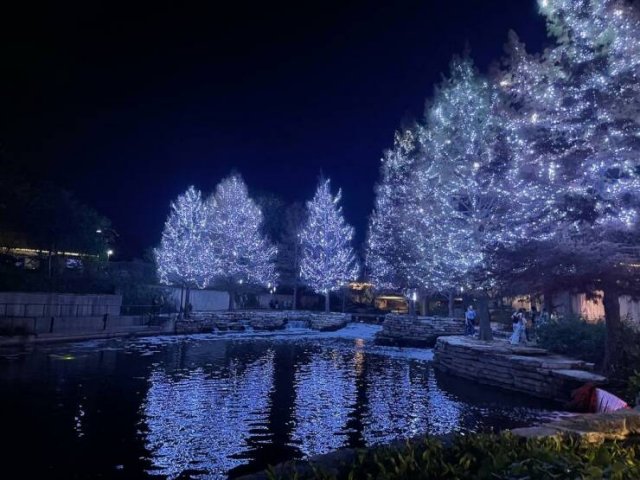 Подборка картинок. Вечерний выпуск - 15.01.2026